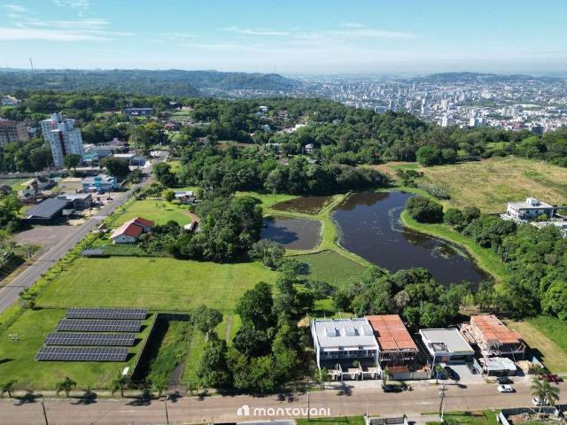 Terreno / Lote para Venda em Santa Cruz do Sul/RS Jardim Europa
