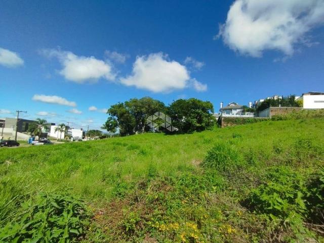 Terreno / Lote para Venda em Santa Cruz do Sul/RS Jardim Europa