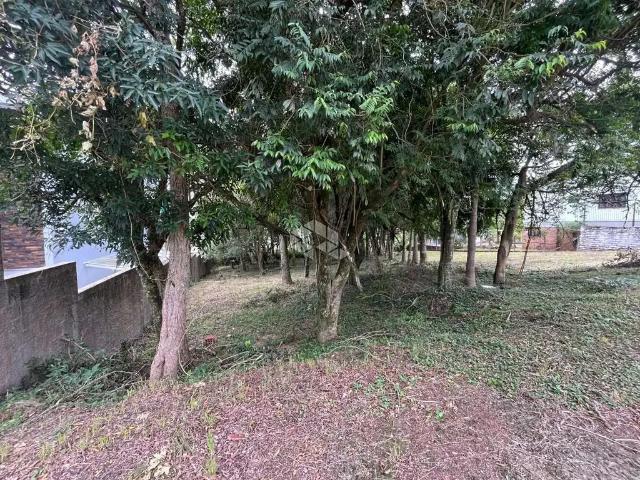 Terreno / Lote para Venda em Santa Cruz do Sul/RS Jardim Europa