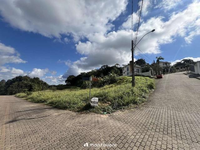 Terreno / Lote para Venda em Santa Cruz do Sul/RS Jardim Europa