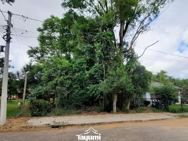 Terreno / Lote para Venda em Santa Cruz do Sul/RS Jardim Europa