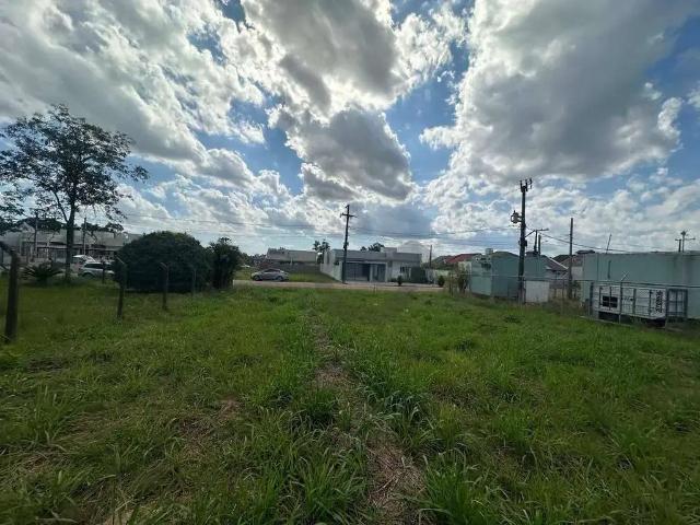 Terreno / Lote para Venda em Santa Cruz do Sul/RS João Alves