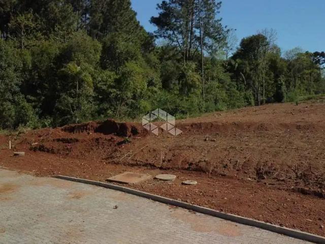 Terreno / Lote para Venda em Santa Cruz do Sul/RS Linha Santa Cruz