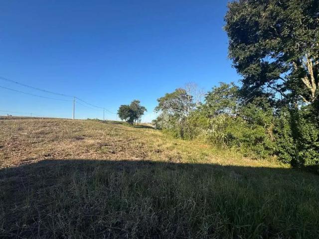 Terreno / Lote para Venda em Santa Cruz do Sul/RS Linha Santa Cruz