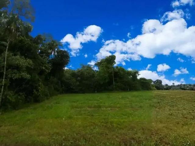 Terreno / Lote para Venda em Santa Cruz do Sul/RS Linha Santa Cruz