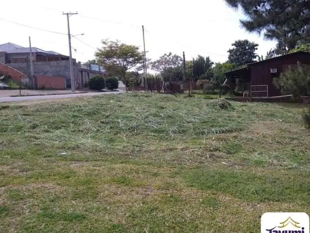 Terreno / Lote para Venda em Santa Cruz do Sul/RS Linha Santa Cruz