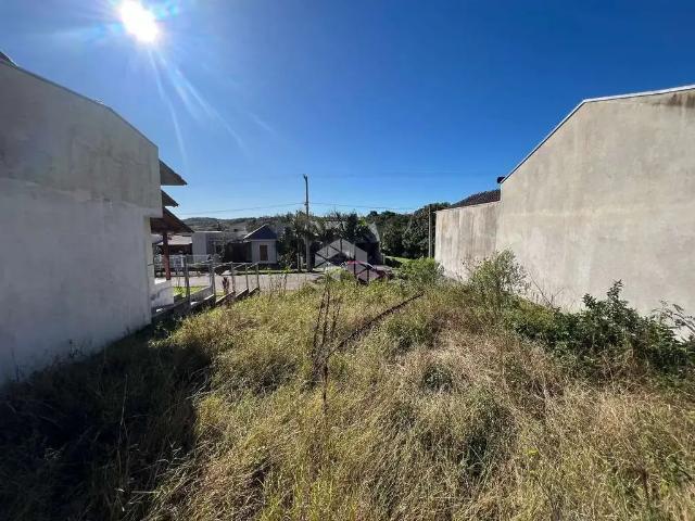 Terreno / Lote para Venda em Santa Cruz do Sul/RS Linha Santa Cruz