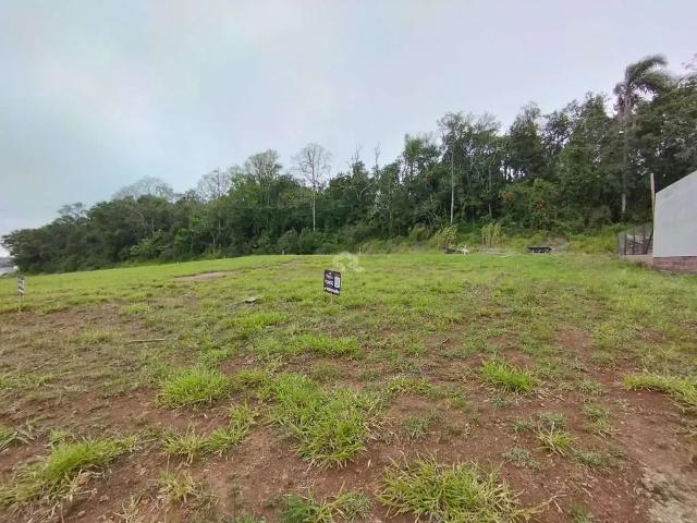 Terreno / Lote para Venda em Santa Cruz do Sul/RS Linha Santa Cruz