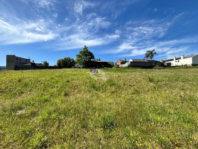 Terreno / Lote para Venda em Santa Cruz do Sul/RS Linha Santa Cruz