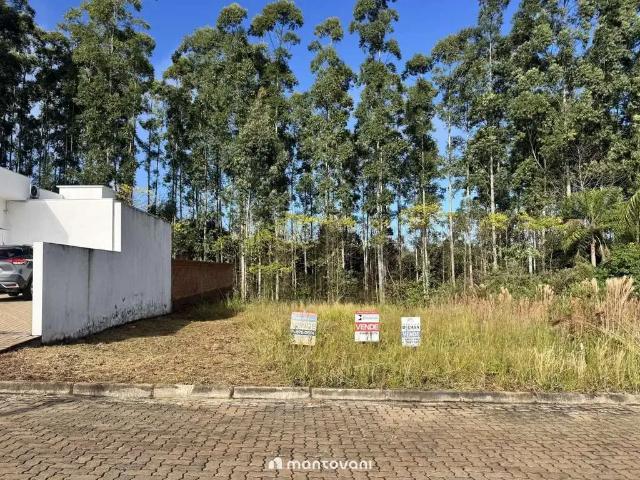 Terreno / Lote para Venda em Santa Cruz do Sul/RS Linha Santa Cruz