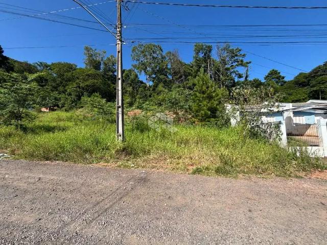 Terreno / Lote para Venda em Santa Cruz do Sul/RS Pedreira