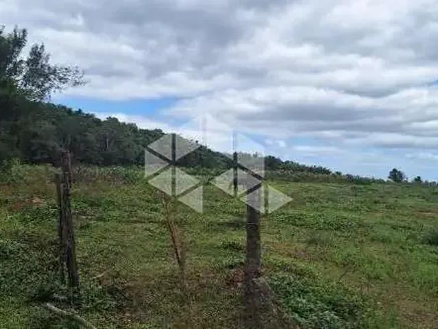 Terreno / Lote para Venda em Santa Cruz do Sul/RS Pedreira