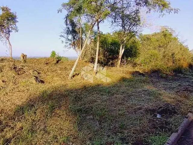 Terreno / Lote para Venda em Santa Cruz do Sul/RS Renascença