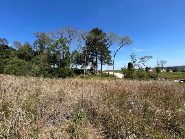 Terreno / Lote para Venda em Santa Cruz do Sul/RS Renascença