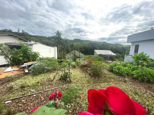 Terreno / Lote para Venda em Santa Cruz do Sul/RS Renascença