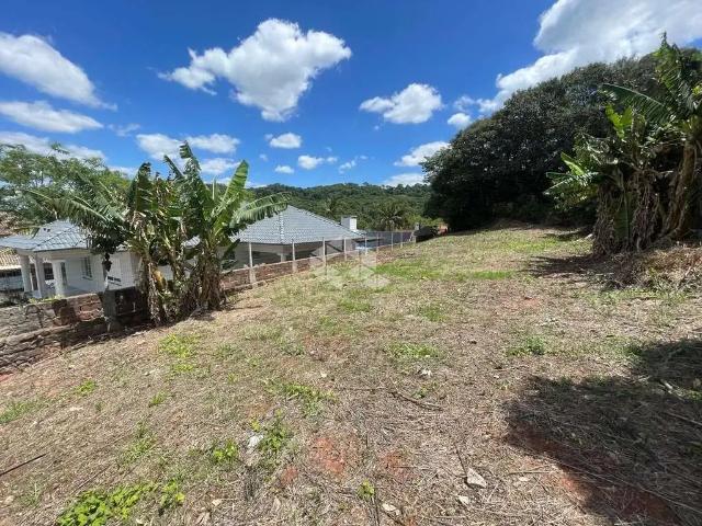 Terreno / Lote para Venda em Santa Cruz do Sul/RS Renascença
