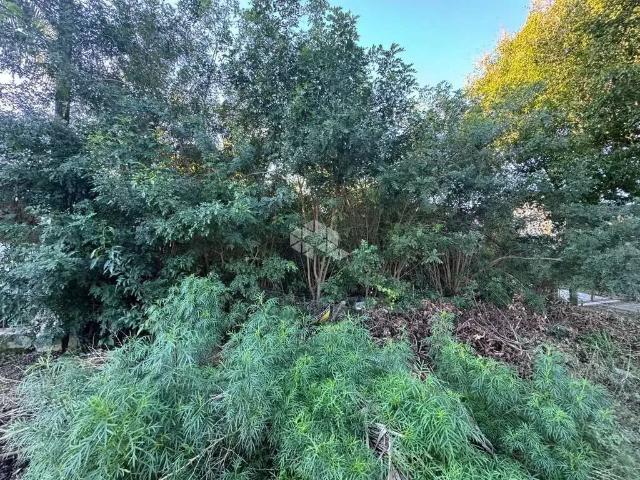 Terreno / Lote para Venda em Santa Cruz do Sul/RS São João