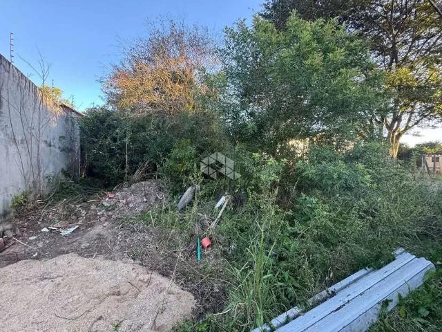 Terreno / Lote para Venda em Santa Cruz do Sul/RS São João