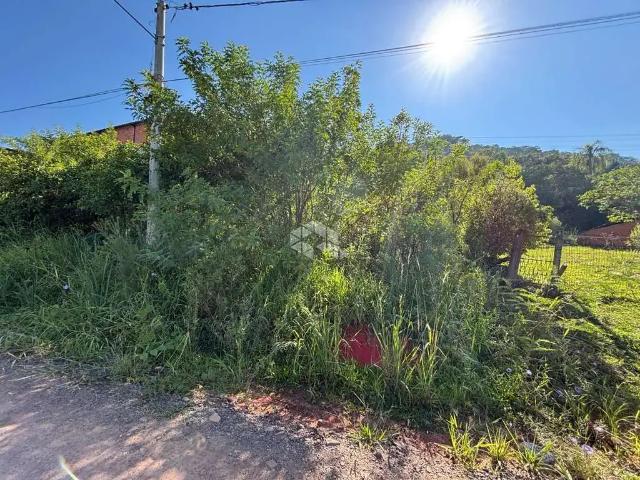 Terreno / Lote para Venda em Santa Cruz do Sul/RS Santuário