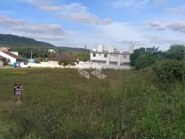 Terreno / Lote para Venda em Santa Cruz do Sul/RS Santo Antônio