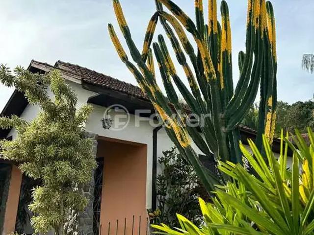 Terreno / Lote para Venda em Santa Cruz do Sul/RS Santo Inácio