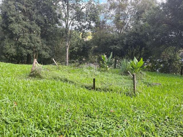 Terreno / Lote para Venda em Santa Cruz do Sul/RS Santo Inácio
