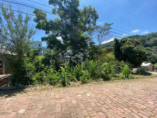 Terreno / Lote para Venda em Santa Cruz do Sul/RS Santo Inácio