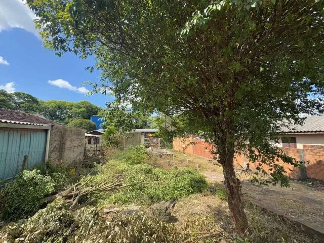 Terreno / Lote para Venda em Santa Cruz do Sul/RS Universitário