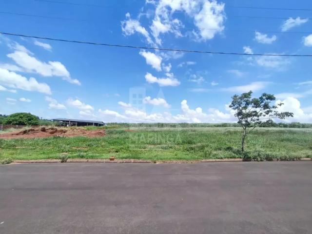 Terreno / Lote para Venda em Santa Fé/PR Zona Rural