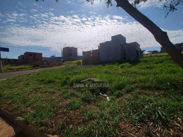 Terreno / Lote para Venda em Santa Gertrudes/SP Jardim Veneza