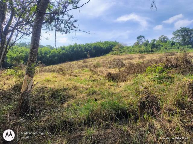 Terreno / Lote para Venda em Santa Isabel/SP Cachoeira