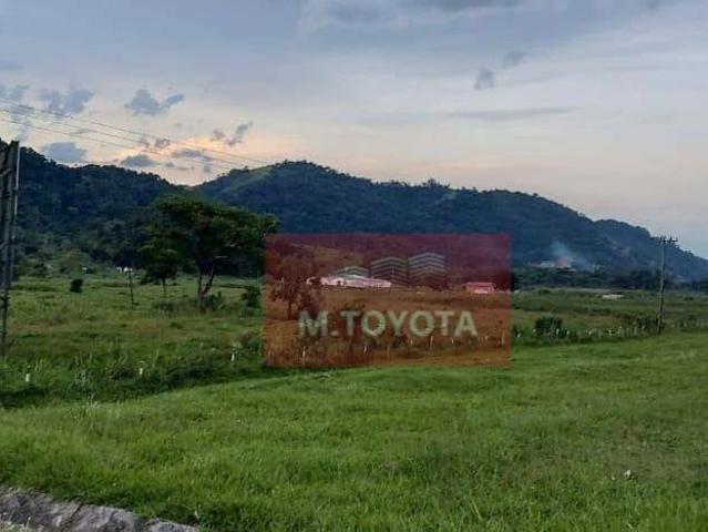 Terreno / Lote para Venda em Santa Isabel/SP Centro