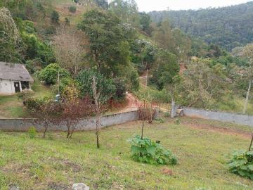 Terreno / Lote para Venda em Santa Isabel/SP Centro