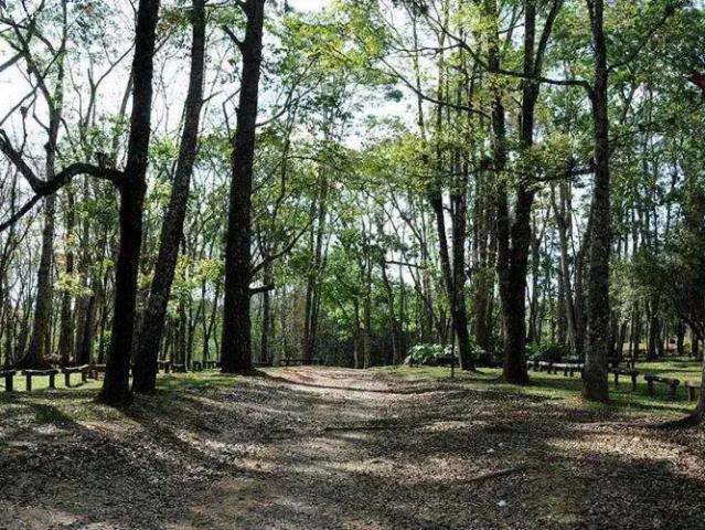 Terreno / Lote para Venda em Santa Isabel/SP Ouro Fino