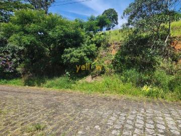 Terreno / Lote para Venda em Santa Isabel/SP Parque Santa Teresa