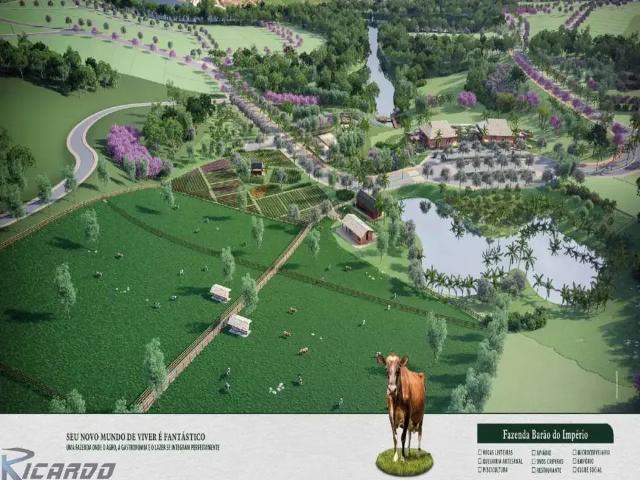 Terreno / Lote para Venda em Santa Leopoldina/ES Mangaraí