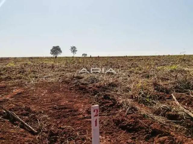 Terreno / Lote para Venda em Santa Lúcia/SP Jardim Cruzeiro