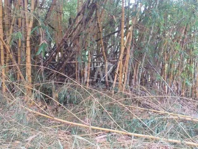 Terreno / Lote para Venda em Santa Luzia/MG Bicas