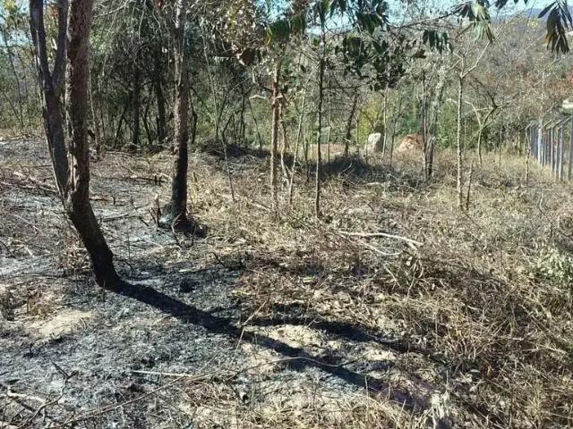 Terreno / Lote para Venda em Santa Luzia/MG Bonanza