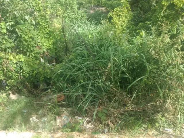 Terreno / Lote para Venda em Santa Luzia/MG São Benedito