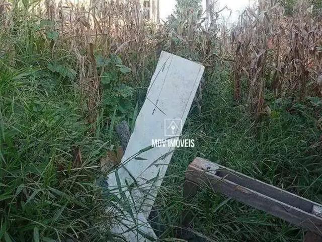 Terreno / Lote para Venda em Santa Luzia/MG Três Corações