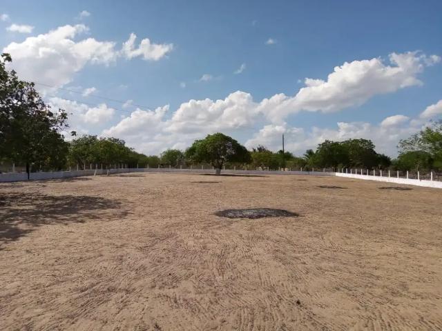 Terreno / Lote para Venda em Santa Maria do Cambucá/PE Centro