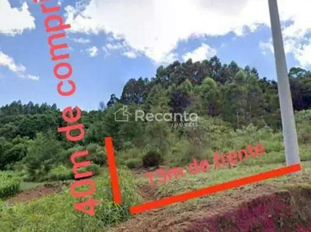 Terreno / Lote para Venda em Santa Maria do Herval/RS Centro