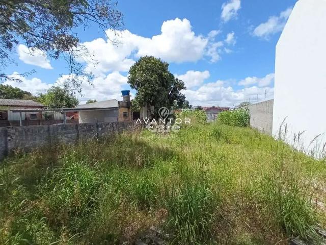 Terreno / Lote para Venda em Santa Maria/RS Noal
