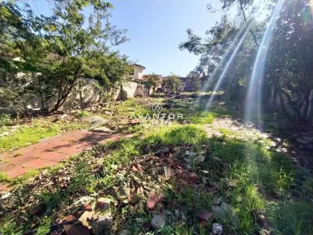 Terreno / Lote para Venda em Santa Maria/RS Noal