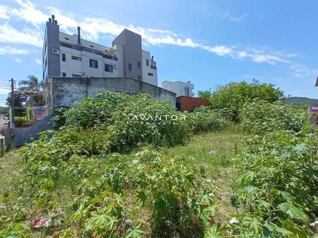 Terreno / Lote para Venda em Santa Maria/RS Nonoai