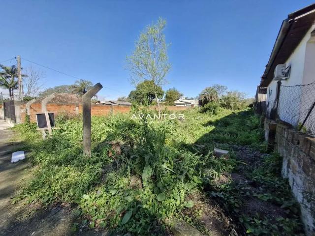 Terreno / Lote para Venda em Santa Maria/RS Nossa Senhora do Perpétuo Socorro