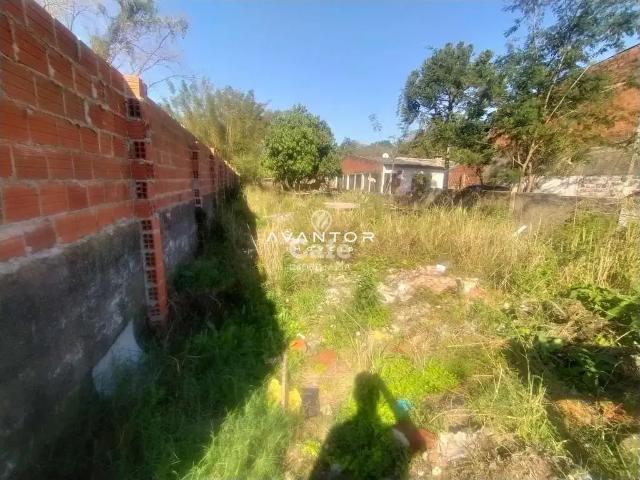 Terreno / Lote para Venda em Santa Maria/RS Nossa Senhora do Perpétuo Socorro