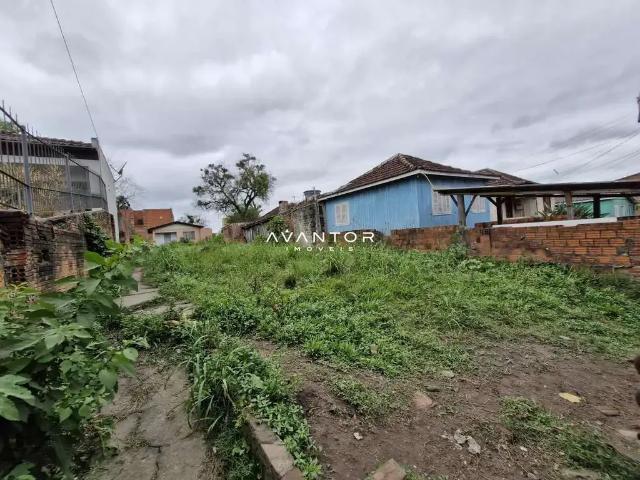 Terreno / Lote para Venda em Santa Maria/RS Nossa Senhora do Perpétuo Socorro