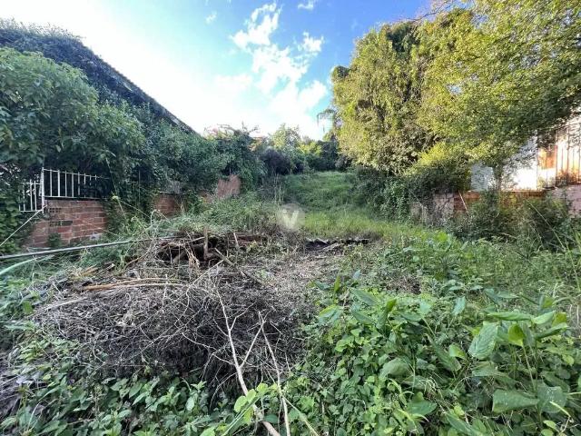 Terreno / Lote para Venda em Santa Maria/RS Nossa Senhora do Perpétuo Socorro